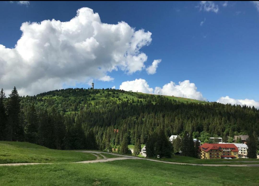 Ferienwohnung Feldberg Feldberg  Exterior foto